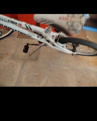 Bici BMX