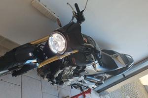 Honda Hornet 600 anno 2006