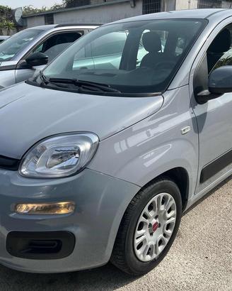 FIAT Panda 1.0 FireFly S&S Hybrid 70cv