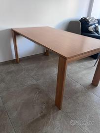 Tavolo allungabile 160/220