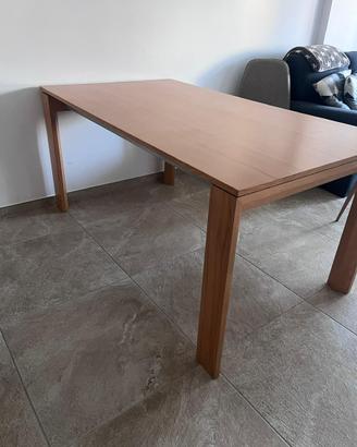 Tavolo allungabile 160/220