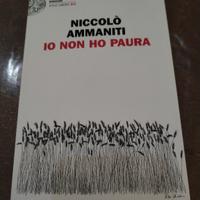 libro di Nicolò Ammanti 