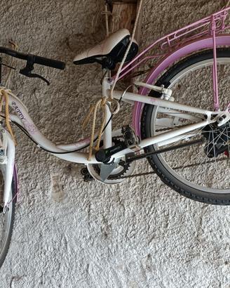 Bicicletta
