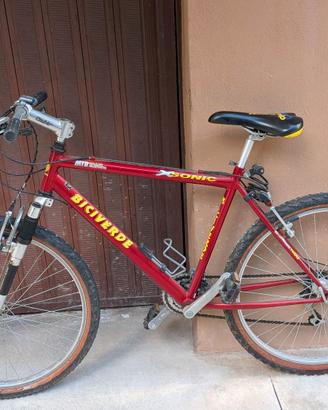 Mountain bike ruote da 26