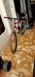 bicicletta mtb
