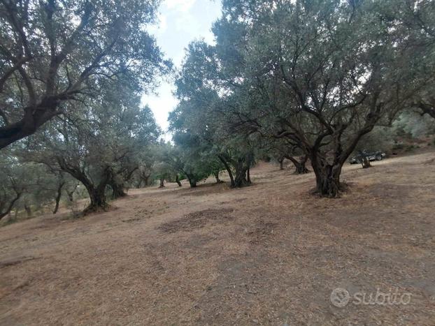 Cz, Sant'Elia, ampio terreno agricolo pianeggiante