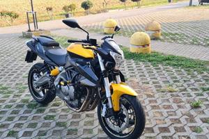 Benelli Bn600i
