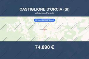 Immobile in asta di 250 m² con più di 5 locali a C
