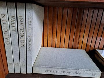 5 volumi serie Garzanti pittori