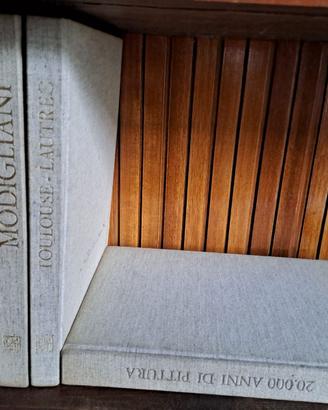 5 volumi serie Garzanti pittori