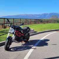 Monster 695