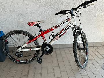 Mountain Bike Lombardo 24