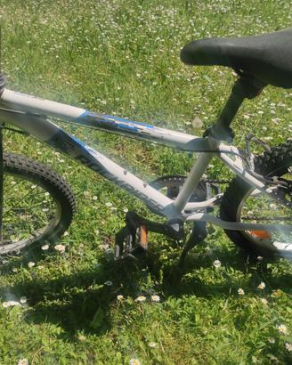 Bicicletta MTB bambino