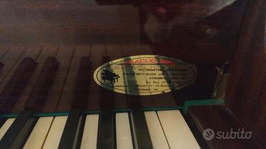 pianoforte zimmermann  semicoda