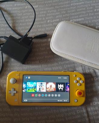 Nintendo switch lite