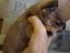 Immagine 3
