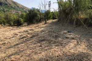 Terreno edificabile