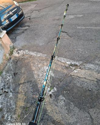 Canna da pesca traina
