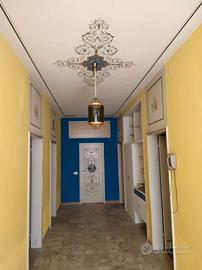 A studenti camere in ampio appartamento