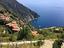 Immagine 7