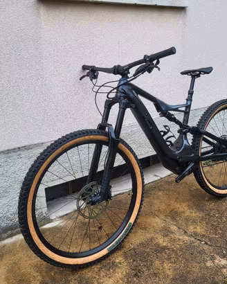 Specialized Turbo levo fsr Carbon 29 ebike 