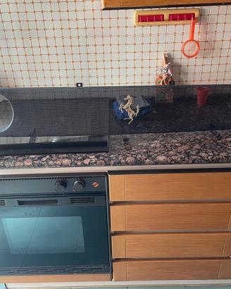 Griglia challenger motore posteriore, ferrari  355