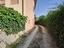 Immagine 11