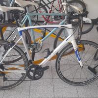 Bici Olmo da corsa