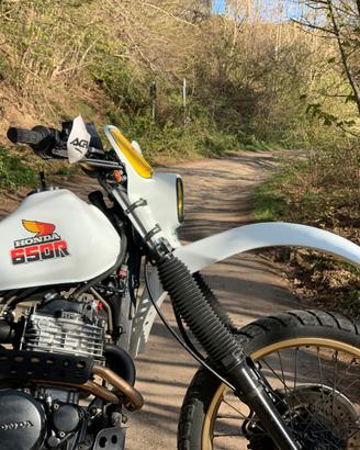 Honda Dominator 650 Special