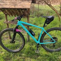 Specialized Epic HT Carbon Tg. L