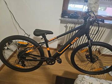 Bicicletta elettrica