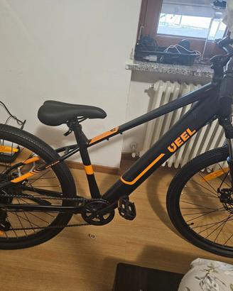 Bicicletta elettrica