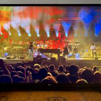 Smart TV LG 49” + staffa a muro