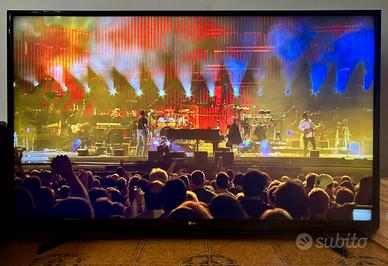 Smart TV LG 49” + staffa a muro