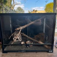 Teca per animali esotici