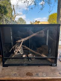 Teca per animali esotici