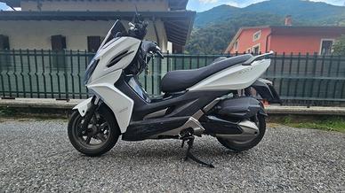 Scooterone