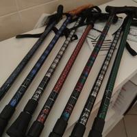 bastone da passeggio