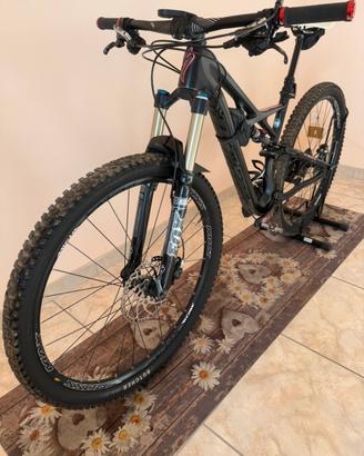 Mtb specialized camber