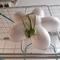 Plafoniera e applique per cameretta ragazzi