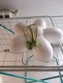 Plafoniera e applique per cameretta ragazzi