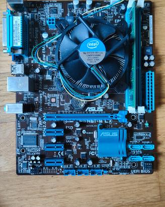 Asus P8H61-M LX