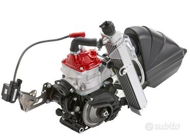 Motore rotax mini gokart