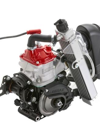 Motore rotax mini gokart
