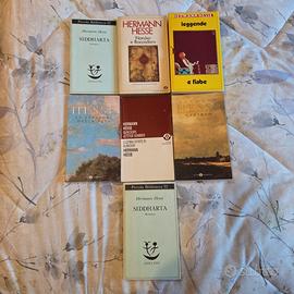 Lotto libri Hermann Hesse