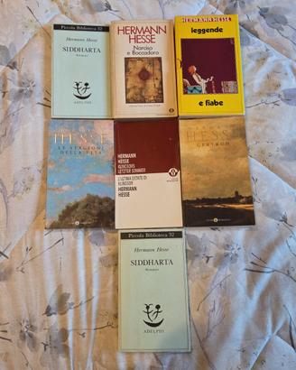 Lotto libri Hermann Hesse