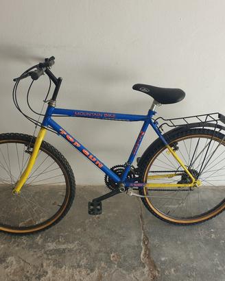 bicicletta n.26