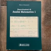 Esercitazioni di Analisi Matematica 1, Bramanti