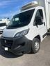 iveco-fiat-ducato-anno-2020-cella-frigo-euro-6