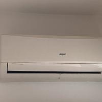 Condizionatore inverter